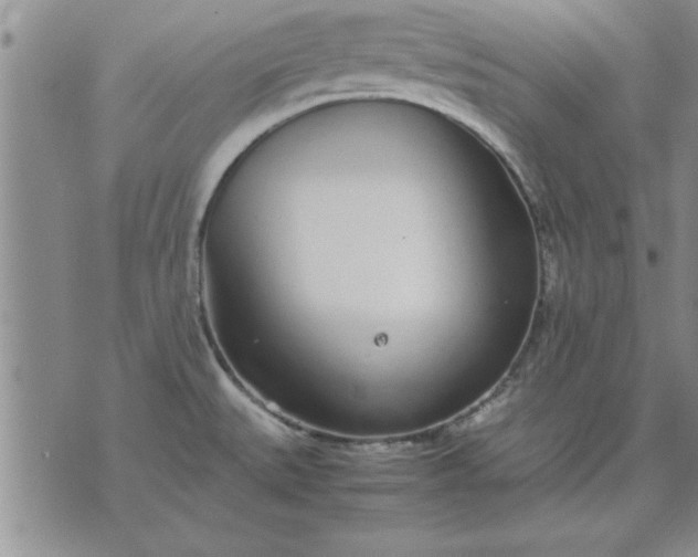 X0000071831527200607141647