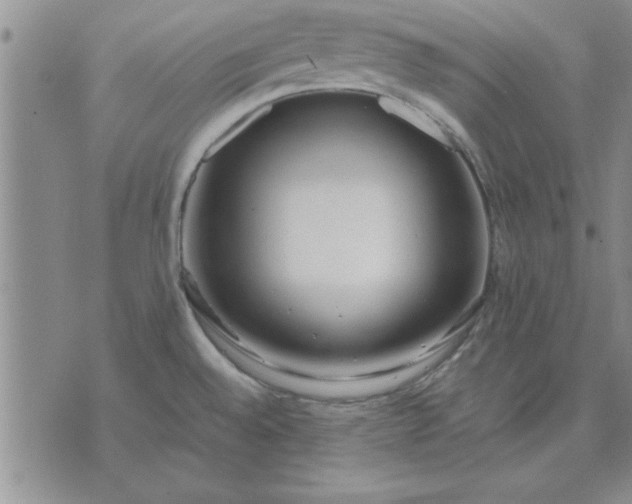 X0000071831528200607141647