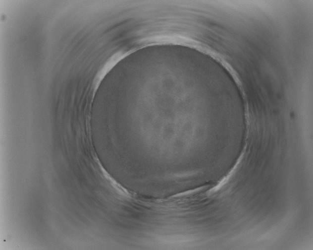 X0000071831529200607141647