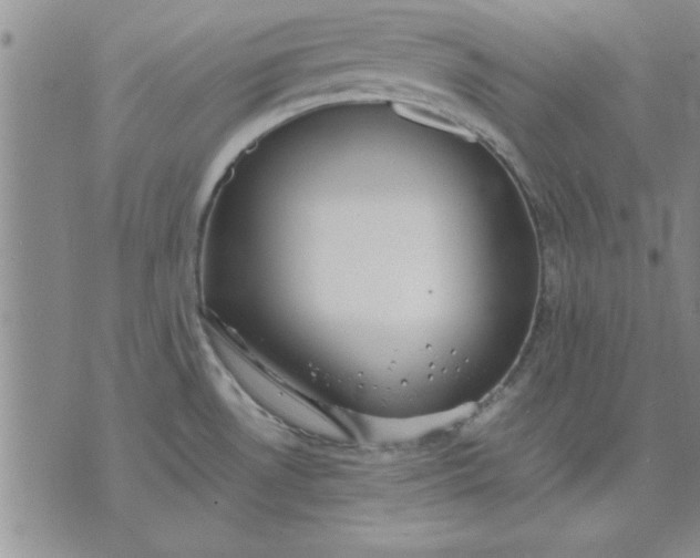 X0000071831530200607141647