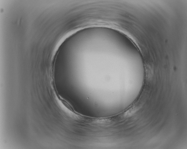 X0000071831531200607141647