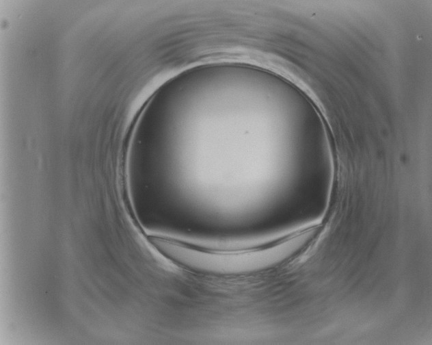 X0000071831533200607141647