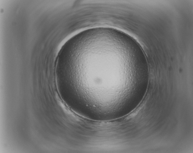 X0000071831534200607141648