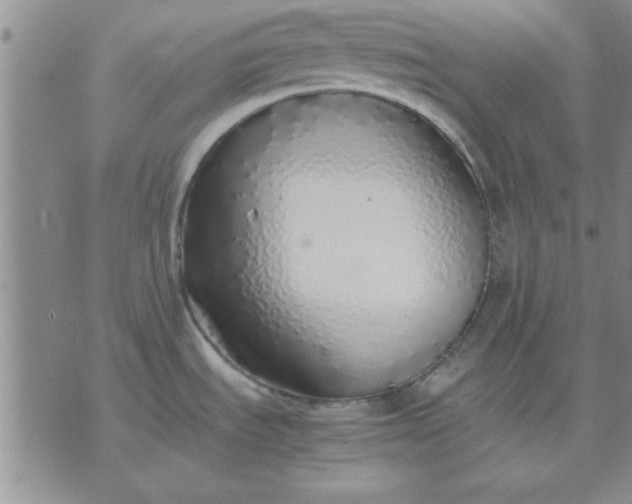 X0000071831535200607141648