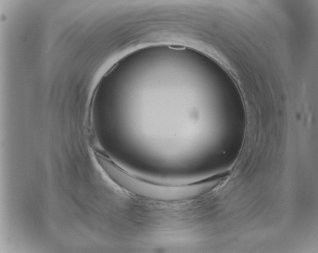 X0000071831536200607141648