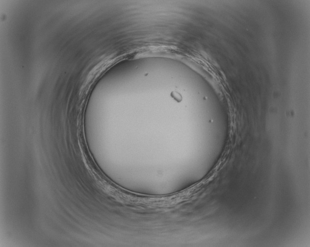 X0000071830001200607211813