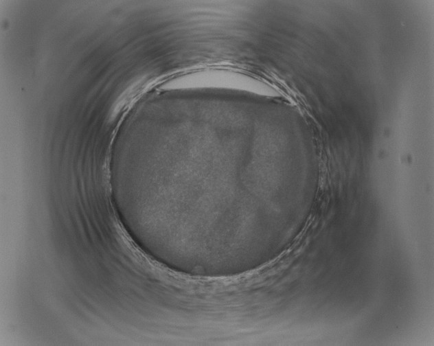 X0000071830002200607211813