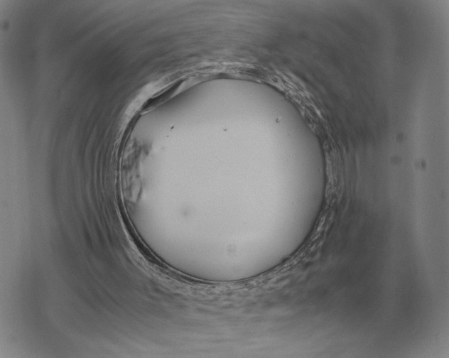 X0000071830003200607211813