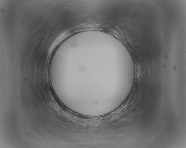 X0000071830004200607211813