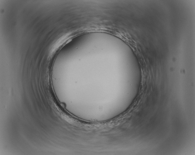 X0000071830005200607211813