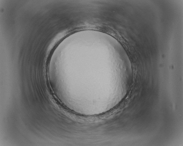 X0000071830006200607211813