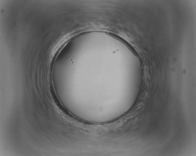 X0000071830007200607211813