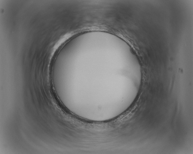 X0000071830008200607211813