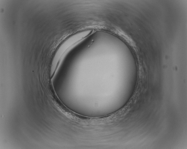 X0000071830009200607211813