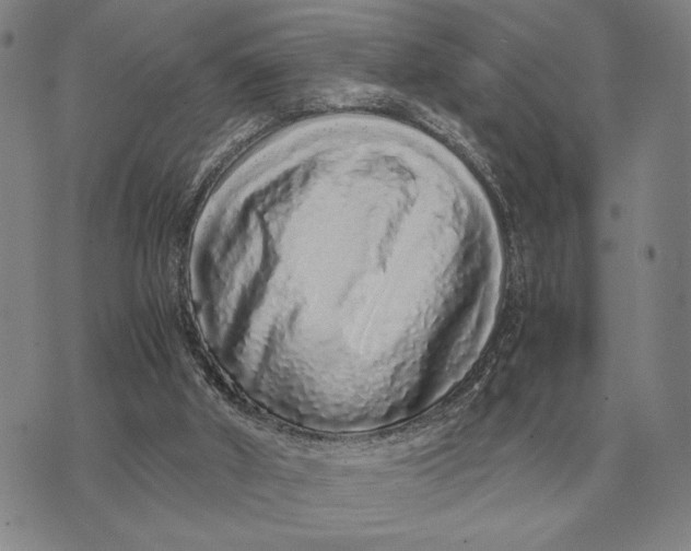 X0000071830010200607211813