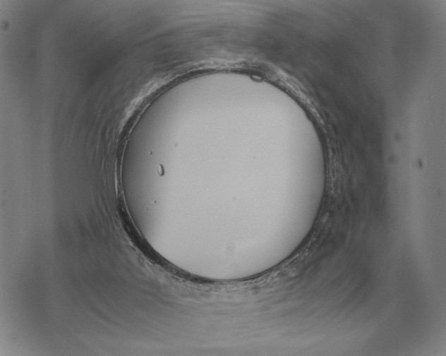 X0000071830011200607211813