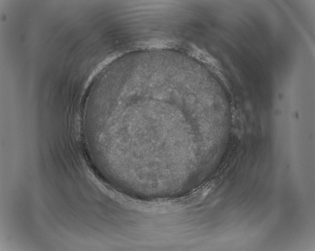 X0000071830012200607211813