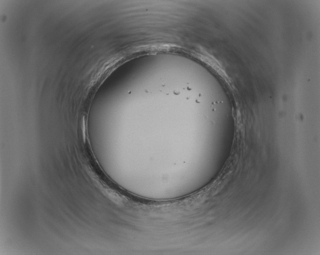 X0000071830013200607211813