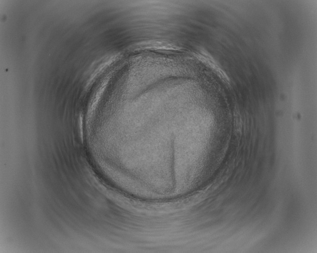 X0000071830014200607211813