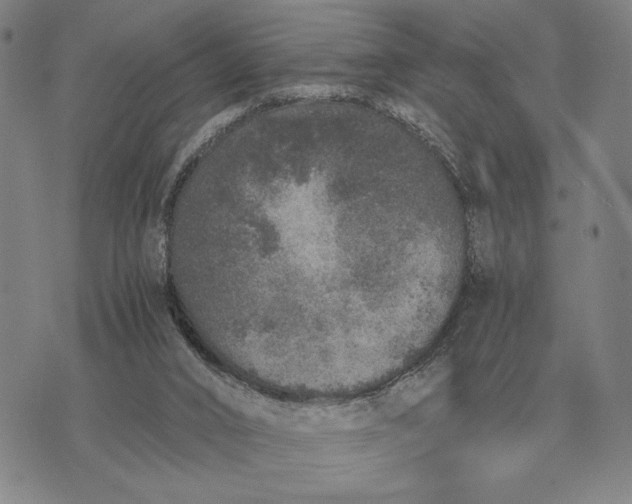 X0000071830016200607211813