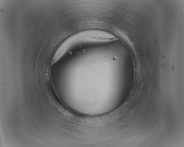 X0000071830017200607211813