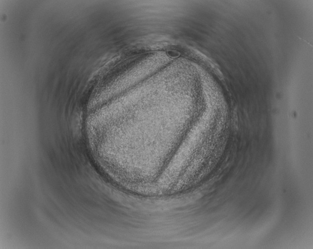 X0000071830018200607211813