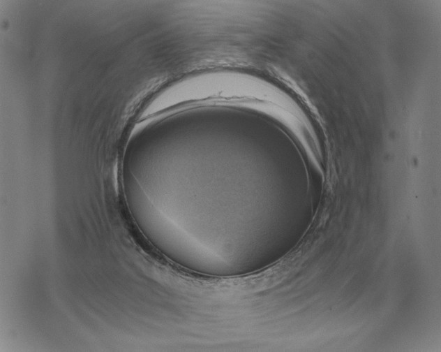 X0000071830019200607211813