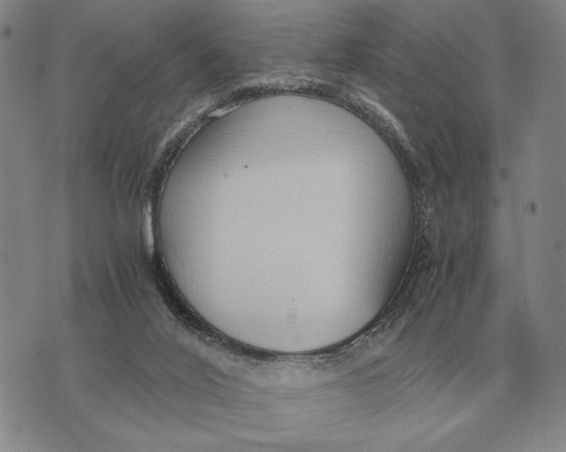 X0000071830020200607211813