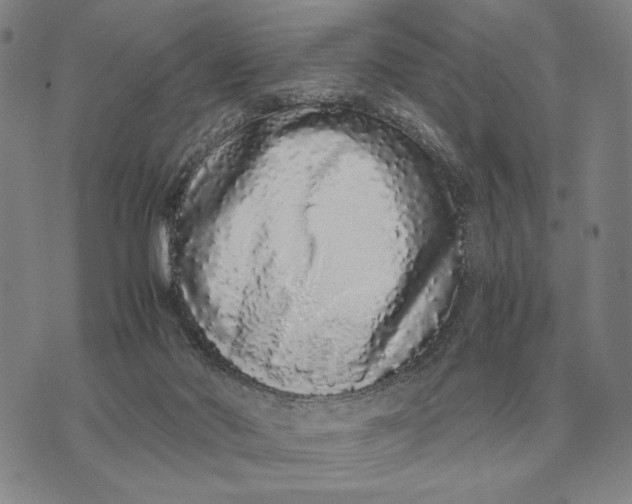 X0000071830022200607211813