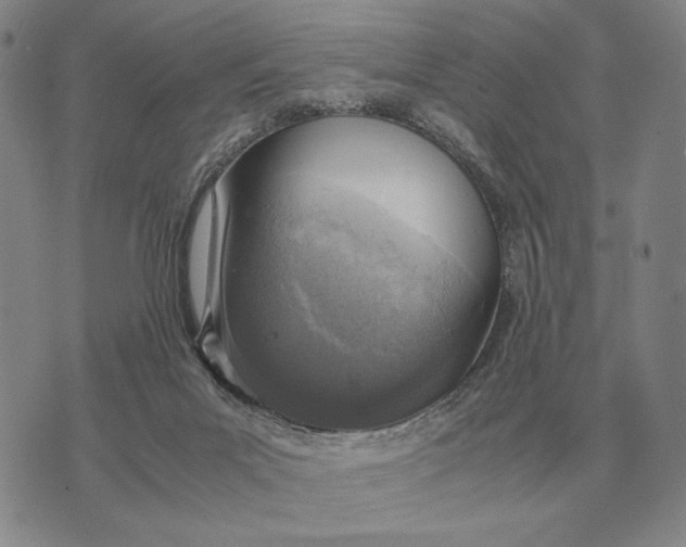 X0000071830023200607211813