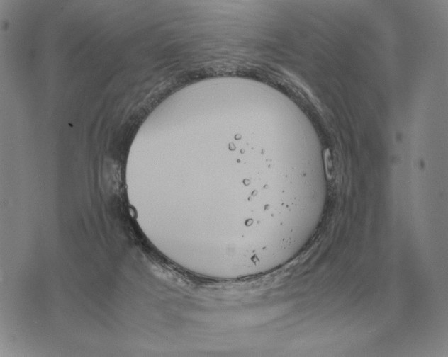 X0000071830025200607211813