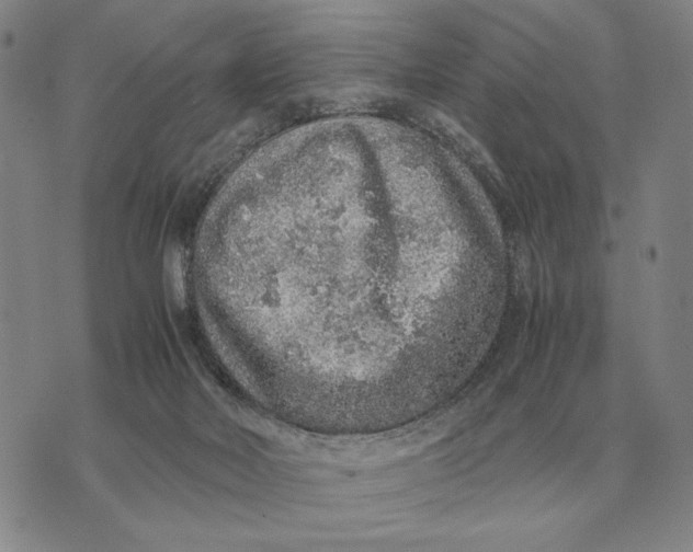 X0000071830026200607211813