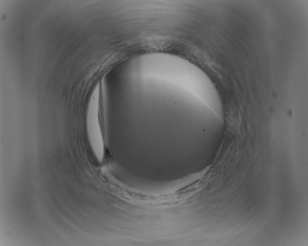 X0000071830027200607211813