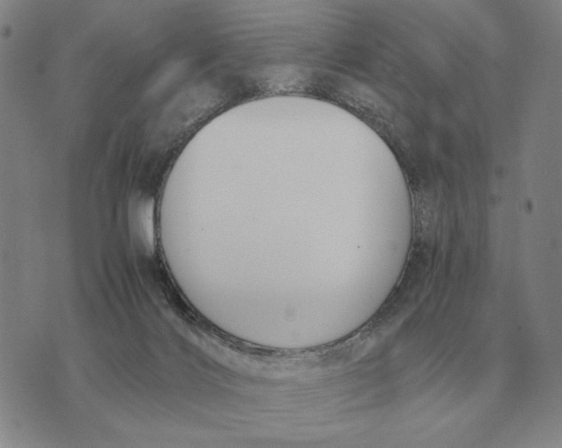 X0000071830028200607211813