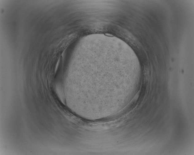 X0000071830029200607211813