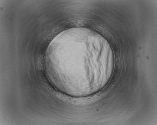 X0000071830030200607211813