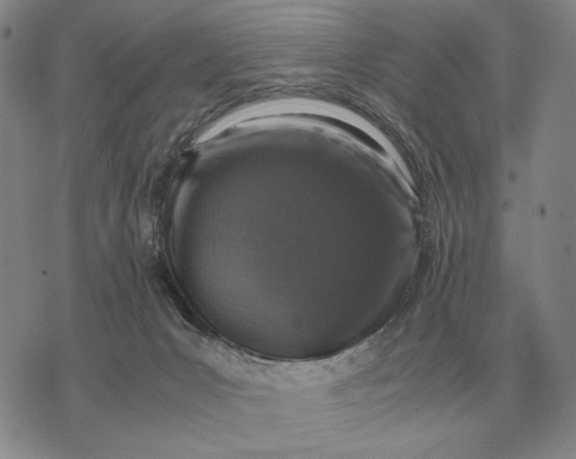 X0000071830031200607211813