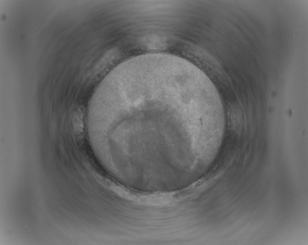 X0000071830032200607211813