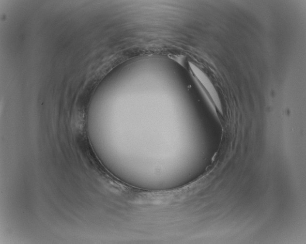 X0000071830033200607211813