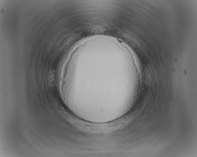 X0000071830034200607211813