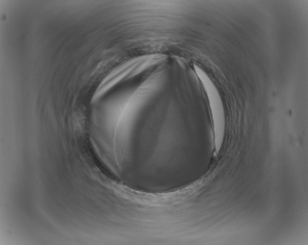 X0000071830035200607211813