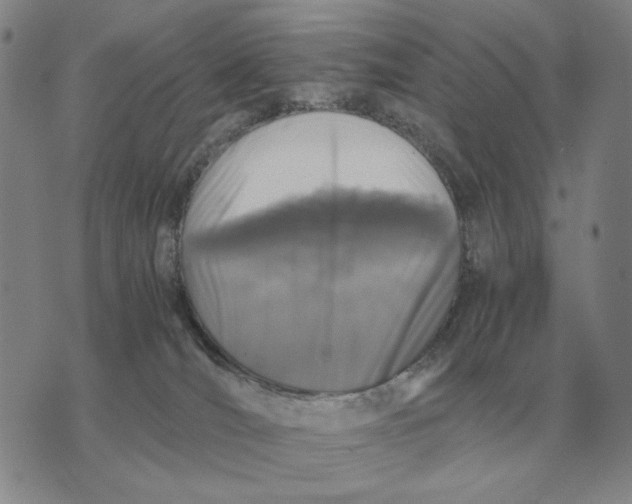 X0000071830036200607211813