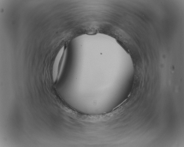 X0000071830037200607211813