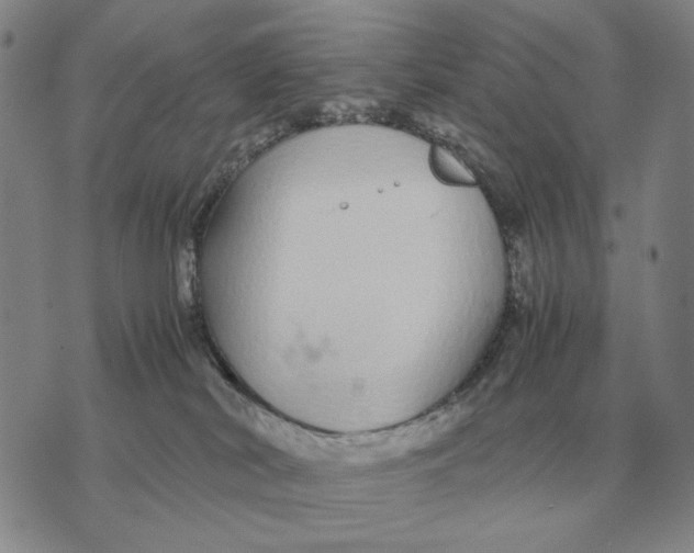 X0000071830038200607211813