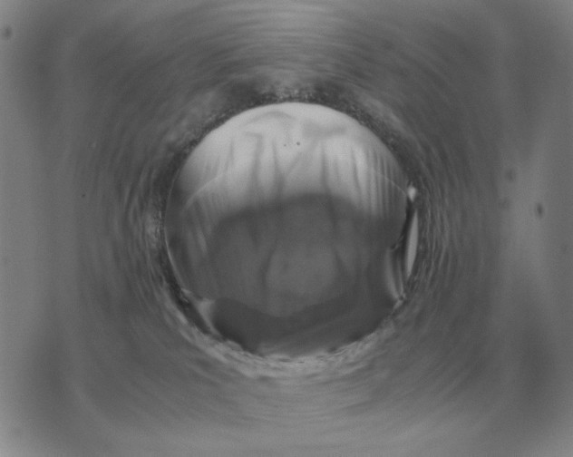 X0000071830039200607211813