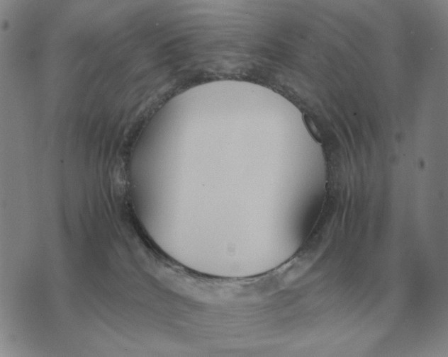 X0000071830040200607211813