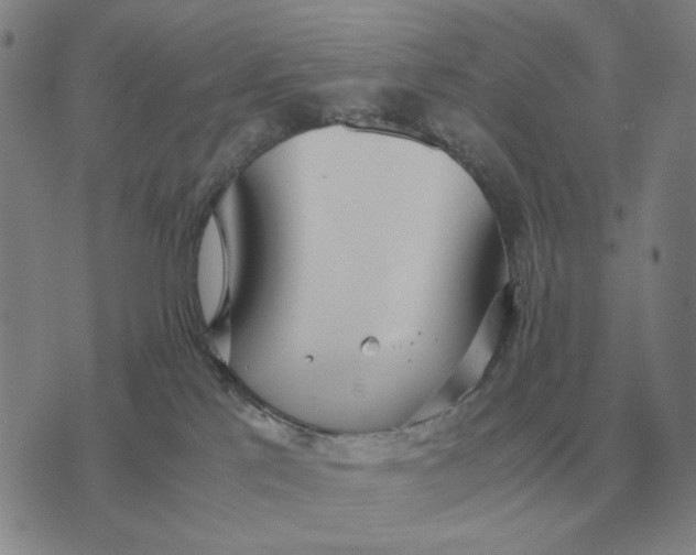 X0000071830041200607211813