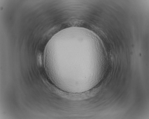 X0000071830042200607211813