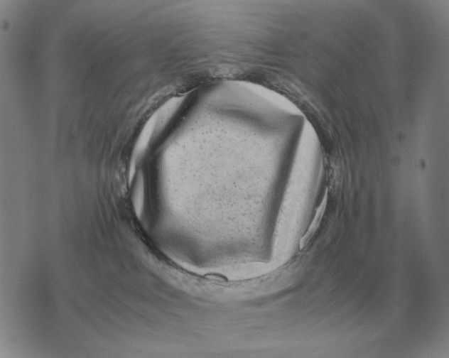 X0000071830043200607211813