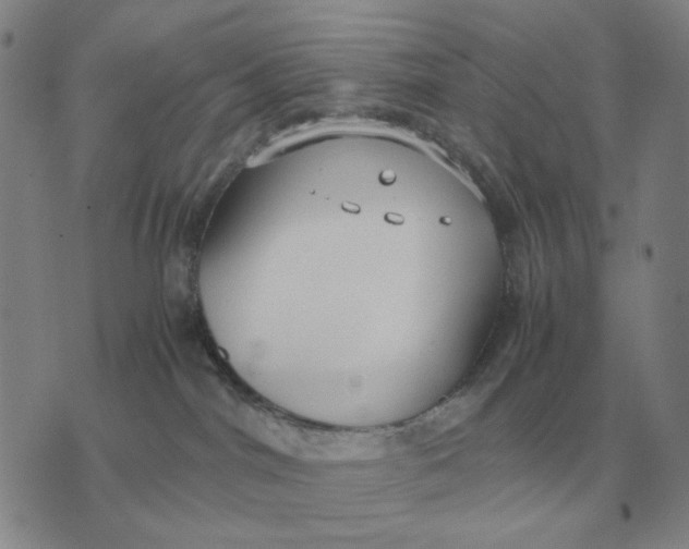 X0000071830044200607211813